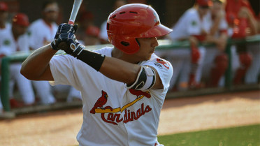 Bandes, Cardinals blast Rays in opener, 8-3