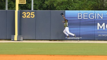 Troy Stokes Jr. Awarded Rawlings Gold Glove
