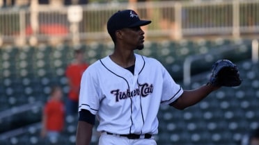 Squirrels in the house, Fisher Cats lose