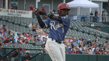 De Leon tees off in 7-6 loss to Drillers