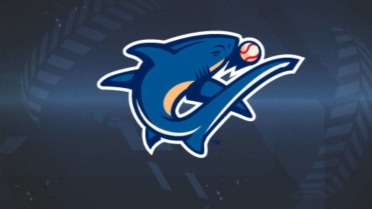 Shawn Williams Pregame 4-6-17