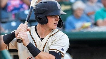 Hoppers hit six HRs in win over Asheville