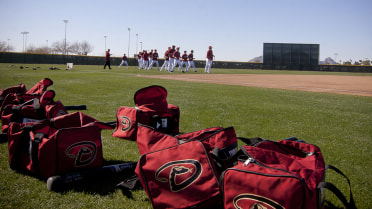 Hernandez spins no-hitter for AZL D-backs