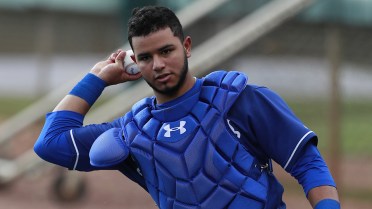 Dodgers reassign Ruiz, Diaz, Peters
