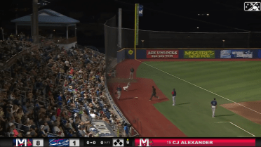 Hollins makes sliding catch for Blue Wahoos