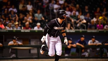 Wild-Card Leading Knights Drop Monday's Opener to Bulls 7-3