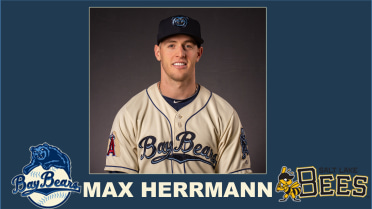 Max Herrmann promoted to Triple-A Salt Lake