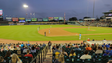 Constellation Field | Space Cowboys