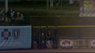 TJ Hopkins crashes into the bullpen to make a catch.