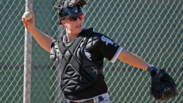 White Sox assign Collins to Minors camp