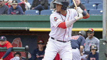 'Dogs drop a pair in Trenton, 6-2 and 4-3