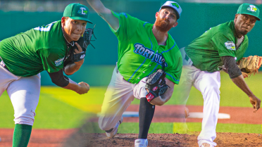 Pitching, Willems will Tortugas to 1-0 victory