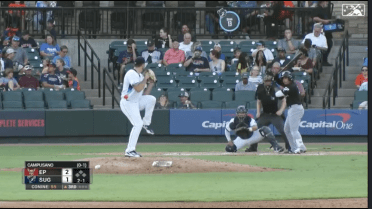 Campusano lines solo shot for Chihuahuas