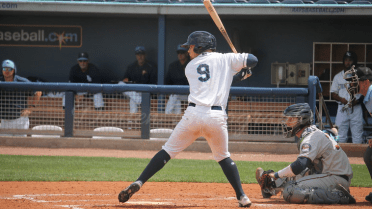 Chester homers in 7-4 loss to Clearwater
