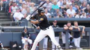 RubberDucks Come Up Short Despite Late Rally In 3-2 Loss To Altoona
