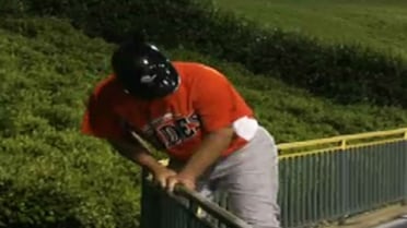 Tides' manager Allenson is ejected in the ninth