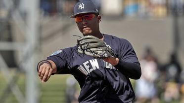 Yankees Prospect Primer: Bring on the Bronx