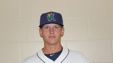 Tyler Wells activated from the DL and transferred to the GCL Twins