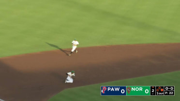 Peterson's diving stop for Norfolk