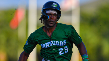 Tortugas erase three-run deficit to earn series victory over Marauders