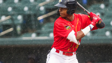Early Errors Sink Fireflies in 8-3 Loss to Pelicans