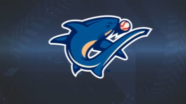 Preseason Chat with Manager Shawn Williams