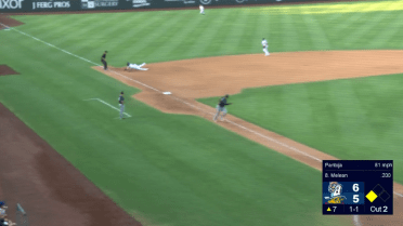 Forbes makes diving play for Sod Poodles