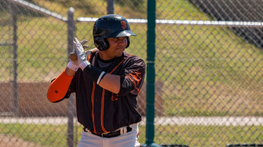 Volcanoes' Rincones stays hot with four hits