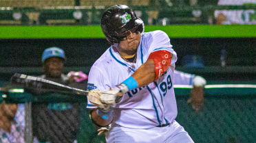 Ibarra, Rogers power Tortugas over Mighty Mussels, 5-2