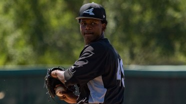 AZL White Sox trio combines on no-hitter