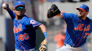 Prospects in the Mets' 2020 player pool
