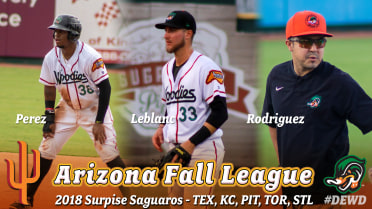 Two Wood Ducks Named to Arizona Fall League Roster