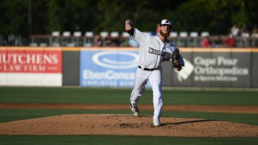 Pelicans Muscle Past Woodpeckers to Control Series