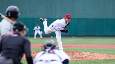 Lugnuts star pitcher Rees promoted to Dunedin