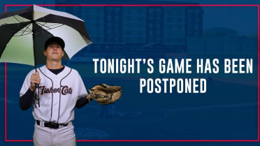 Friday's Fisher Cats game postponed due to rain