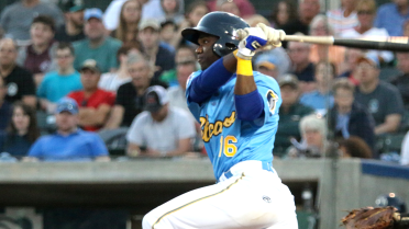 Pelicans late comeback attempt foiled in loss to Wood Ducks