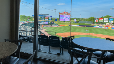 ironpigs | IronPigs