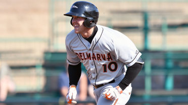 Shorebirds trio goes back-to-back-to-back