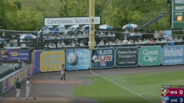 Whitecaps' Chacon robs homer in left