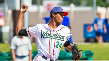 Woodies Drop Game Two with Hillcats