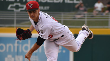 Gunter, Lugnuts deal Bees 6-2 defeat
