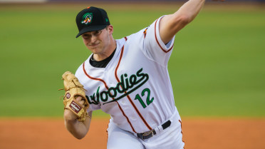 Wood Ducks Pitch Their Way to a Series Win