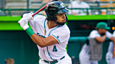 Six-run ninth pushes Tortugas to series split with Mets