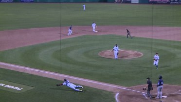 Fisher Cats' Adams dives to grab foul bunt