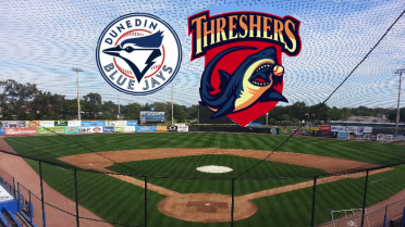 Threshers Wrap Up 2017 With a Win, 3-1