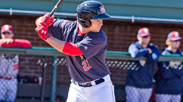 'Dogs drop two in New Hampshire, 5-2 and 3-2