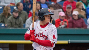 'Dogs win the series, 6-2 win at Harrisburg
