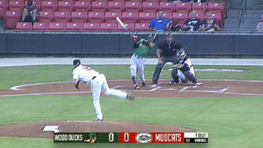 Mudcats' Taugner snags liner