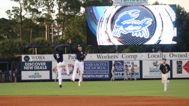 Stone Crabs sweep Mets with matching 3-hit shutouts