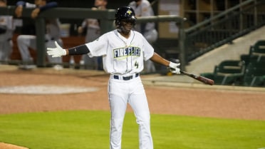 Fireflies Can’t Hold onto Late Lead, Fall 4-3